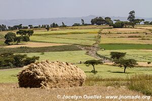 Going to Adadi Maryam Church - Ethiopia