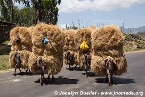 Going to Adadi Maryam Church - Ethiopia