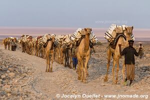 Désert du Danakil - Éthiopie