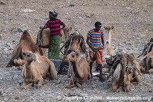 Désert du Danakil - Éthiopie