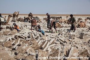 Désert du Danakil - Éthiopie