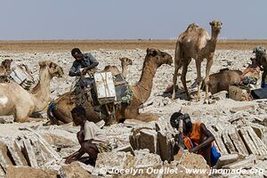 Désert du Danakil - Éthiopie