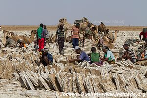 Désert du Danakil - Éthiopie