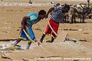 Désert du Danakil - Éthiopie