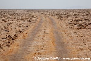 Désert du Danakil - Éthiopie