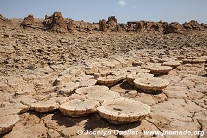 Désert du Danakil - Éthiopie