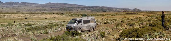 Web Valley - Bale Mountains - Ethiopia