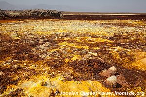 Désert du Danakil - Dallol - Éthiopie