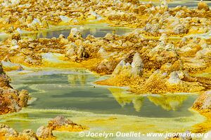 Danakil Desert - Dallol - Ethiopia