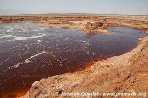 Désert du Danakil - Éthiopie