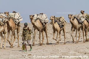 Désert du Danakil - Éthiopie