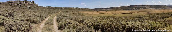 Web Valley - Bale Mountains - Ethiopia