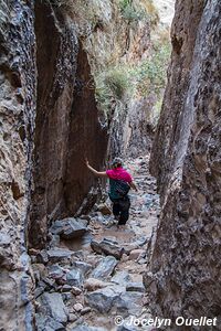 Tigray region - Ethiopia