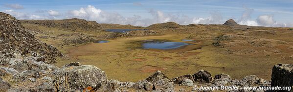 Plateau de Sanetti - Montagnes du Bale - Éthiopie