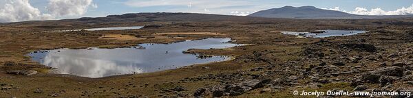 Plateau de Sanetti - Montagnes du Bale - Éthiopie