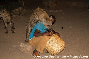 Harar - Éthiopie