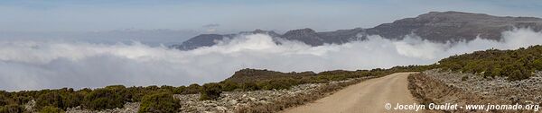 Escarpement de Harenna - Montagnes du Bale - Éthiopie