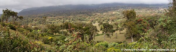 Escarpement de Harenna - Montagnes du Bale - Éthiopie