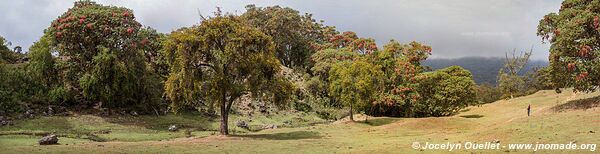 Harenna Escarpment - Bale Mountains - Ethiopia