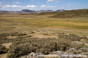 Web Valley - Bale Mountains - Ethiopia