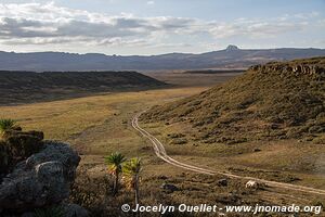 Web Valley - Bale Mountains - Ethiopia