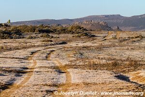 Web Valley - Bale Mountains - Ethiopia