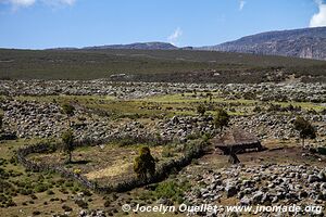 Sanetti Plateau - Bale Mountains - Ethiopia