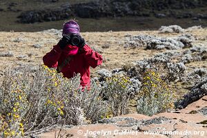 Sanetti Plateau - Bale Mountains - Ethiopia