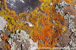 Sanetti Plateau - Bale Mountains - Ethiopia