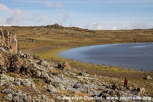 Plateau de Sanetti - Montagnes du Bale - Éthiopie