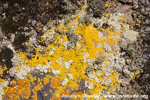 Sanetti Plateau - Bale Mountains - Ethiopia