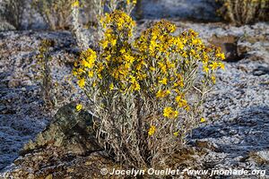 Sanetti Plateau - Bale Mountains - Ethiopia