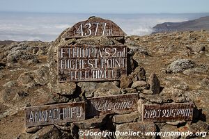 Plateau de Sanetti - Montagnes du Bale - Éthiopie
