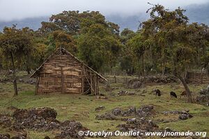 Harenna Escarpment - Bale Mountains - Ethiopia