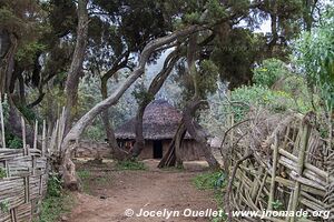 Harenna Escarpment - Bale Mountains - Ethiopia