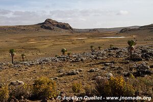 Sanetti Plateau - Bale Mountains - Ethiopia