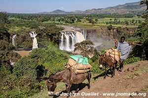 Blue Nile Falls - Ethiopia