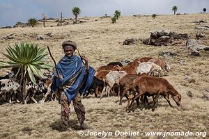 Simiens Park - Ethiopia