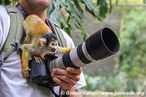 World of Birds - Atlantic Coast - Cape Town - South Africa