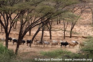 Maralal to Lake Turkana road - Kenya