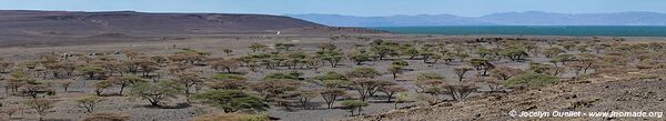 Lake Turkana - Kenya