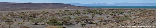 Lac Turkana - Kenya