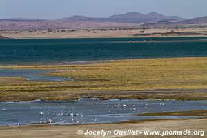 Lake Turkana up to Ethiopia - Kenya