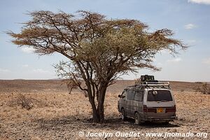 Lac Turkana jusqu'à l'Éthiopie - Kenya