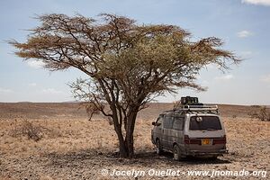 Lake Turkana up to Ethiopia - Kenya