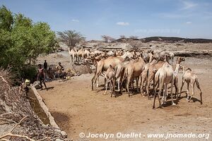 Lake Turkana up to Ethiopia - Kenya