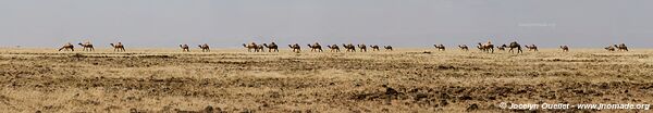 Lac Turkana jusqu'à l'Éthiopie - Kenya