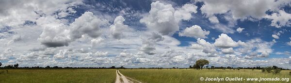 Parc national Bwabwata - Bande de Caprivi - Namibie