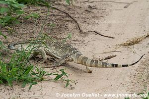 Bwabwata National Park - Caprivi Strip - Namibia