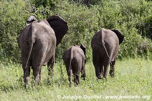 Parc national Bwabwata - Bande de Caprivi - Namibie